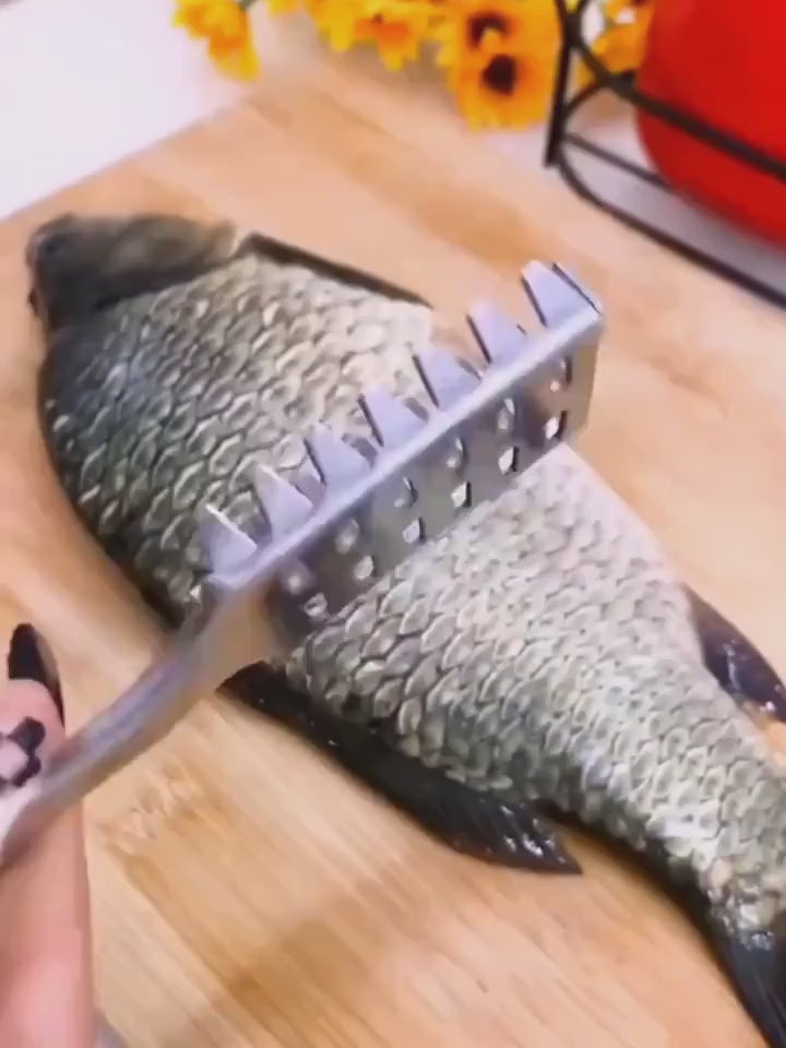 Set de indepartat solzii